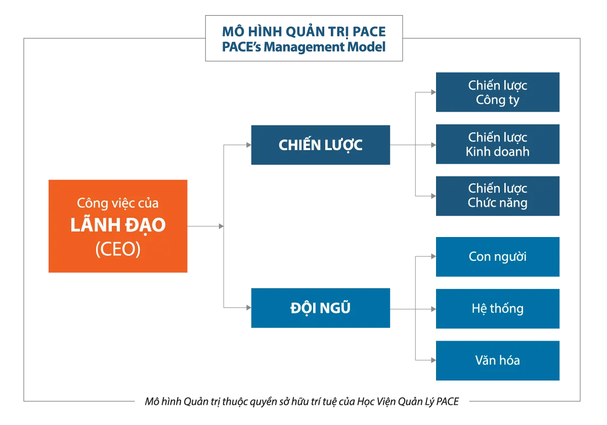 Học CEO ở đâu tốt nhất? Trường đào tạo CEO chuyên nghiệp