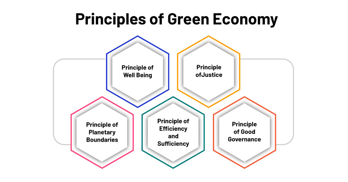 Kinh tế xanh là gì? Nguyên tắc, thực trạng và tác động