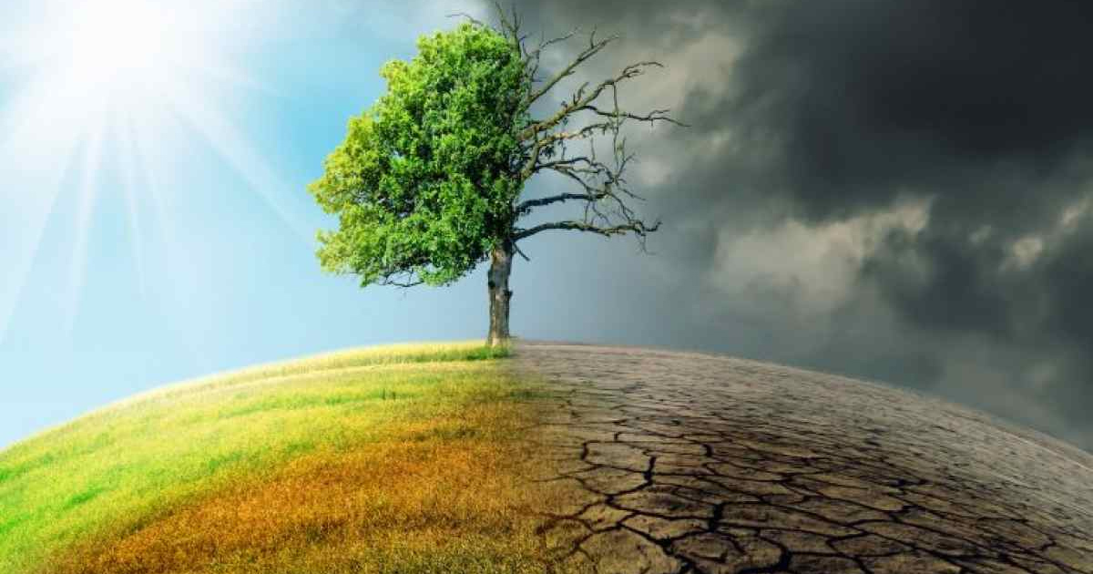 Phát triển bền vững là gì? Tổng quan về phát triển bền vững