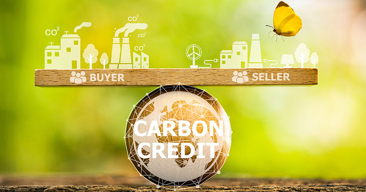 Tín chỉ carbon là gì? Thị trường mua bán chứng chỉ carbon