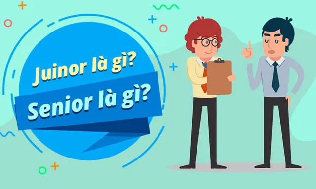 Phân Biệt Senior, Junior, Internship Và Fresher Trong Doanh Nghiệp