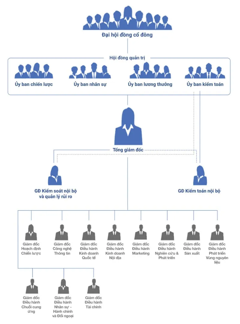 20+ mẫu sơ đồ tổ chức công ty 2024 – Vinamilk cơ cấu ra sao?