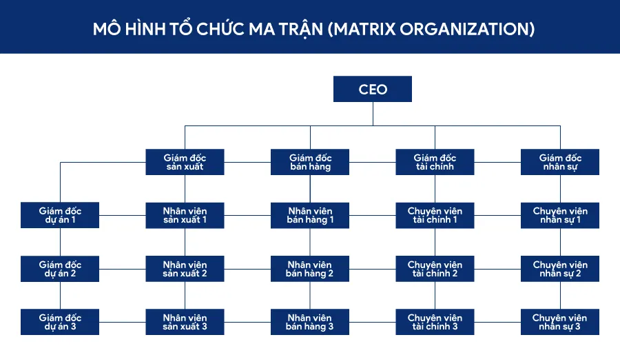 20+ mẫu sơ đồ tổ chức công ty 2024 – Vinamilk cơ cấu ra sao?