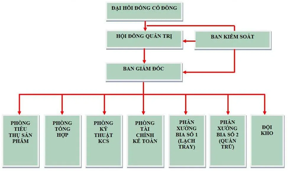 20+ mẫu sơ đồ tổ chức công ty 2024 – Vinamilk cơ cấu ra sao?