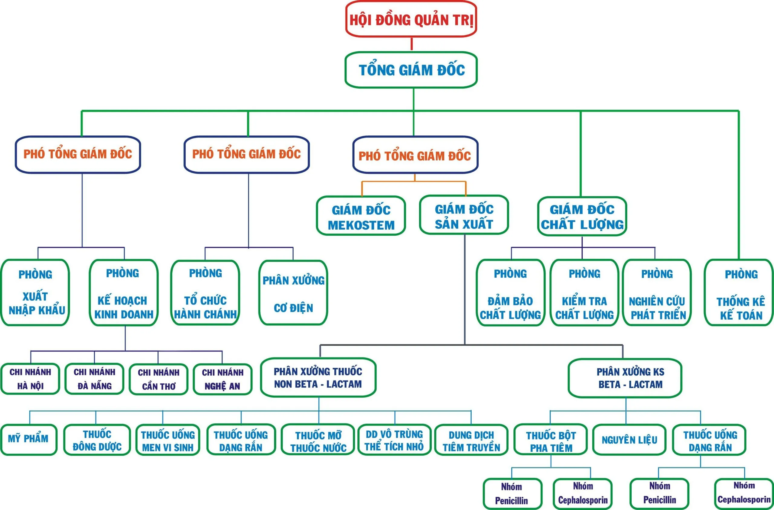 20+ mẫu sơ đồ tổ chức công ty 2024 – Vinamilk cơ cấu ra sao?