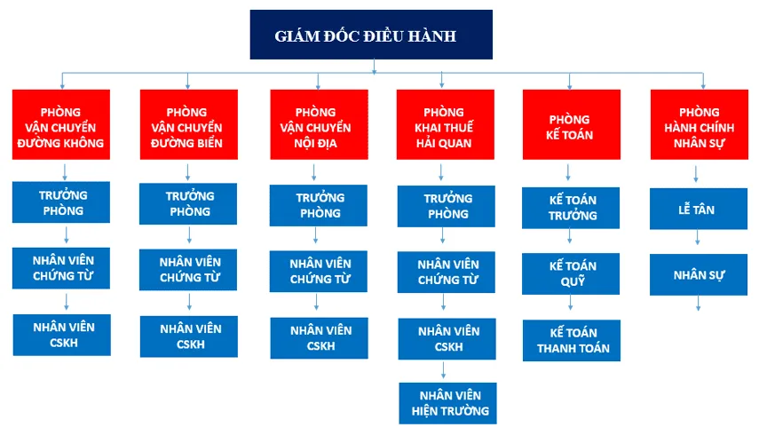 20+ mẫu sơ đồ tổ chức công ty 2024 – Vinamilk cơ cấu ra sao?