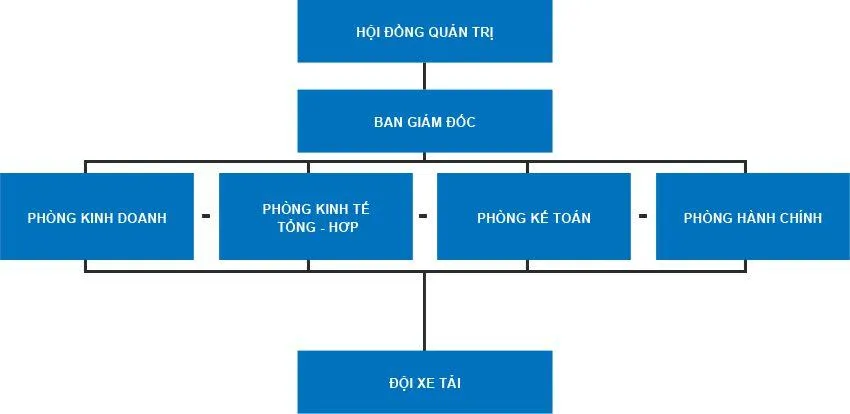 20+ mẫu sơ đồ tổ chức công ty 2024 – Vinamilk cơ cấu ra sao?