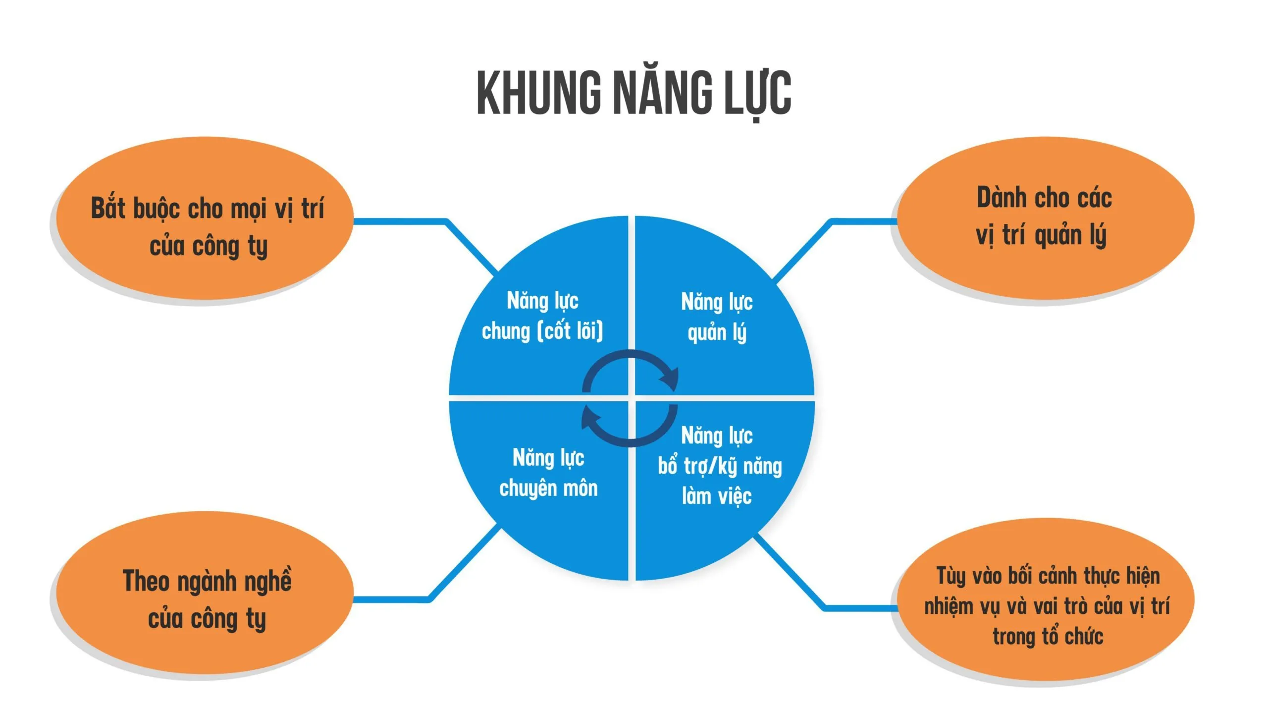 Khung năng lực là gì? Cách xây dựng và triển khai hiệu quả