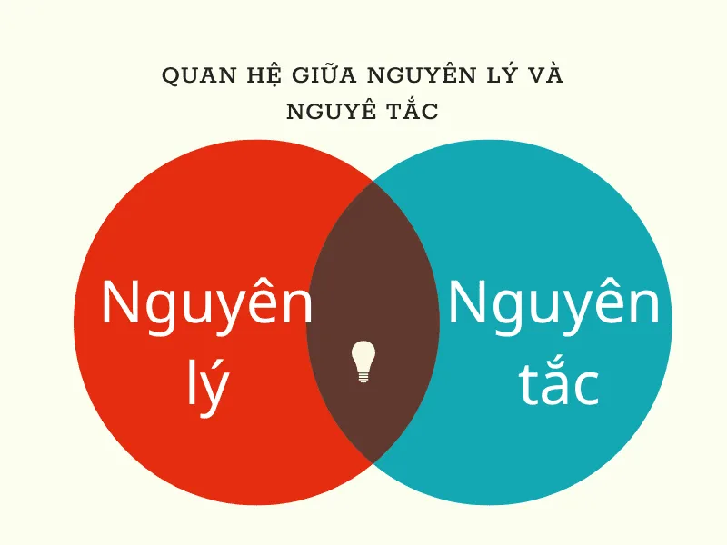 Nguyên tắc là gì? 14 Nguyên tắc quản lý của Henry Fayol